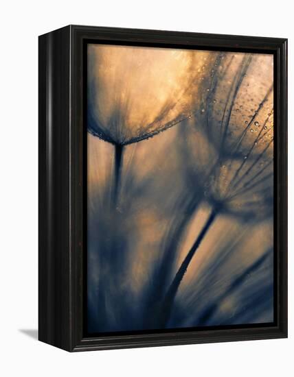 Longing-Ursula Abresch-Framed Premier Image Canvas