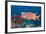 Longjawed Squirrelfish (Sargocentron Spiniferum)-Reinhard Dirscherl-Framed Photographic Print