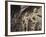 Longmen Buddhist Caves, Luoyang, Hunan Province, China, Asia-Jane Sweeney-Framed Photographic Print