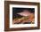 Longnose Hawkfish (Oxycirrhites Typus) on Gorgonian Sea Fans (Subergorgia Mollis)-Louise Murray-Framed Photographic Print