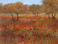 Poppy Fields In Red-Longo-Art Print