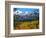 Longs Peak from Estes Park, Colorado-Patty Baker-Framed Art Print