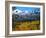 Longs Peak from Estes Park, Colorado-Patty Baker-Framed Art Print