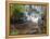 Longshan Temple Waterfall with Swimming Koi Fish, Taiwan-Christian Kober-Framed Premier Image Canvas