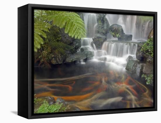 Longshan Temple Waterfall with Swimming Koi Fish, Taiwan-Christian Kober-Framed Premier Image Canvas