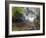 Longshan Temple Waterfall with Swimming Koi Fish, Taiwan-Christian Kober-Framed Photographic Print