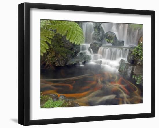 Longshan Temple Waterfall with Swimming Koi Fish, Taiwan-Christian Kober-Framed Photographic Print