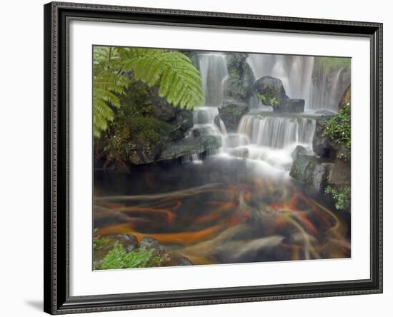 Longshan Temple Waterfall with Swimming Koi Fish, Taiwan-Christian Kober-Framed Photographic Print