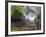 Longshan Temple Waterfall with Swimming Koi Fish, Taiwan-Christian Kober-Framed Photographic Print