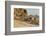 Longtail boats on Phra Nang beach, Railay Peninsula, Krabi Province, Thailand, Southeast Asia, Asia-Markus Lange-Framed Photographic Print