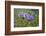 Longwood Garden Spring-Richard T. Nowitz-Framed Photographic Print