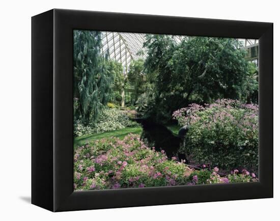 Longwood Gardens, Pennsylvania, USA-null-Framed Premier Image Canvas