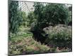 Premium Photographic Print