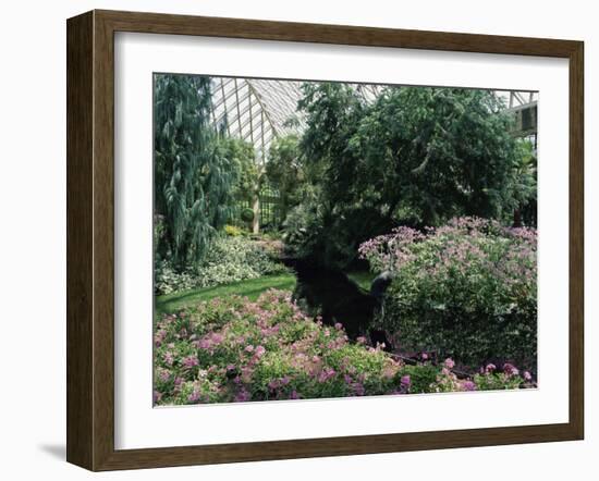 Longwood Gardens, Pennsylvania, USA-null-Framed Photographic Print