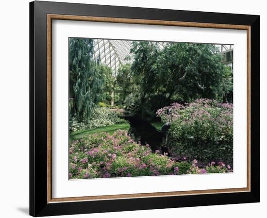 Longwood Gardens, Pennsylvania, USA-null-Framed Photographic Print