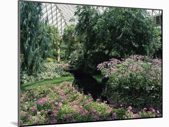 Longwood Gardens, Pennsylvania, USA-null-Mounted Photographic Print