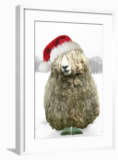Longwool Sheep Wellington Boots Wearing Christmas Hat-null-Framed Photographic Print