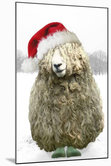 Longwool Sheep Wellington Boots Wearing Christmas Hat-null-Mounted Photographic Print