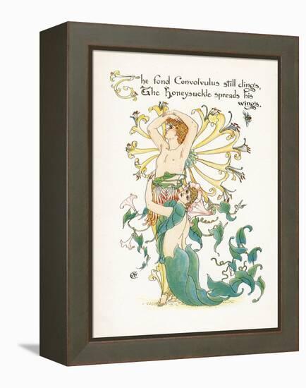 Lonicera Periclymenum-Walter Crane-Framed Stretched Canvas