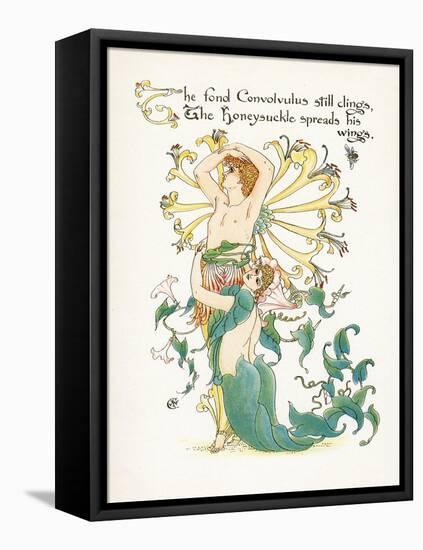 Lonicera Periclymenum-Walter Crane-Framed Stretched Canvas