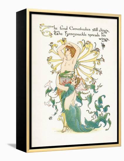 Lonicera Periclymenum-Walter Crane-Framed Stretched Canvas