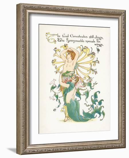 Lonicera Periclymenum-Walter Crane-Framed Art Print