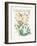 Lonicera Periclymenum-Walter Crane-Framed Art Print