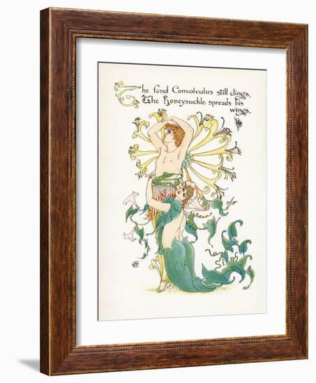 Lonicera Periclymenum-Walter Crane-Framed Art Print