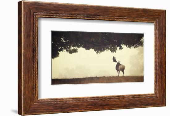 Look Back-Mark Bridger-Framed Art Print