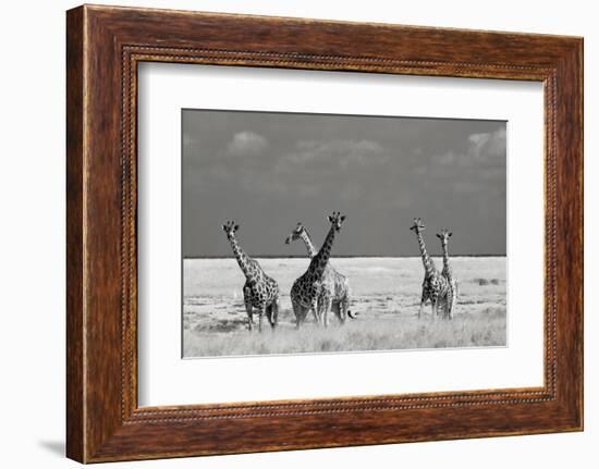 Look Girl Strange Animals-Mathilde Guillemot-Framed Photographic Print