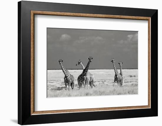 Look Girl Strange Animals-Mathilde Guillemot-Framed Photographic Print