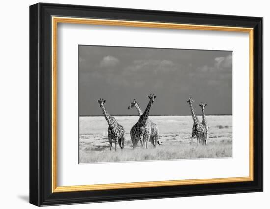 Look Girl Strange Animals-Mathilde Guillemot-Framed Photographic Print