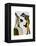 Look of Love Regency Badger and Hare Couple-Fab Funky-Framed Stretched Canvas