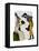 Look of Love Regency Badger and Hare Couple-Fab Funky-Framed Stretched Canvas