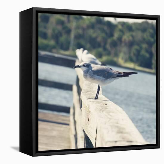 Look Out Dock I-Gail Peck-Framed Stretched Canvas