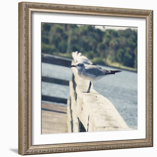 Look Out Dock I-Gail Peck-Framed Photo
