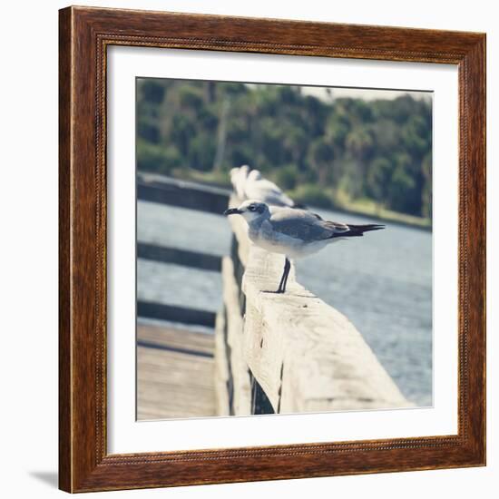 Look Out Dock I-Gail Peck-Framed Photo