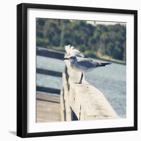 Look Out Dock I-Gail Peck-Framed Photo