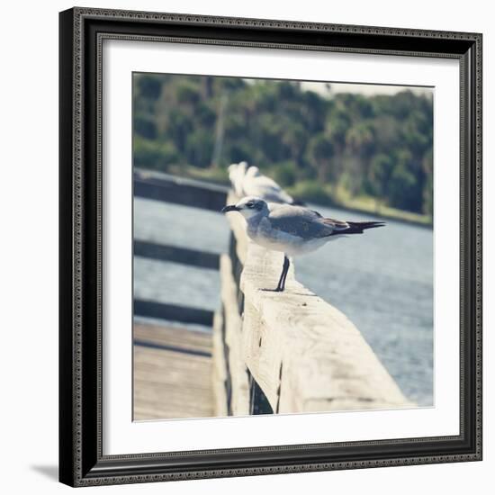 Look Out Dock I-Gail Peck-Framed Photo