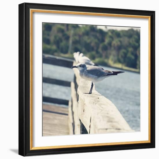 Look Out Dock I-Gail Peck-Framed Photo