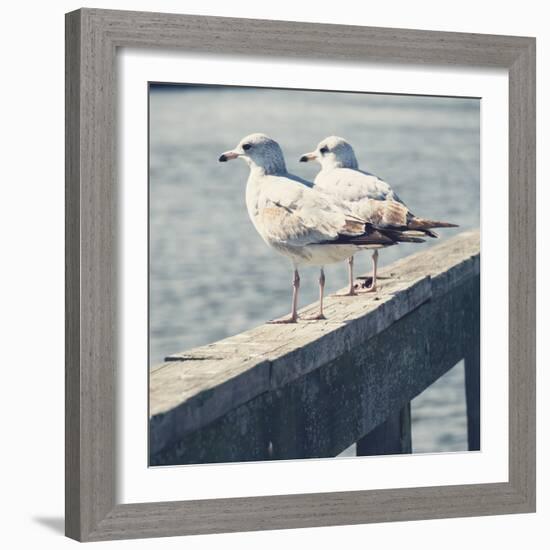 Look Out Dock II-Gail Peck-Framed Photo