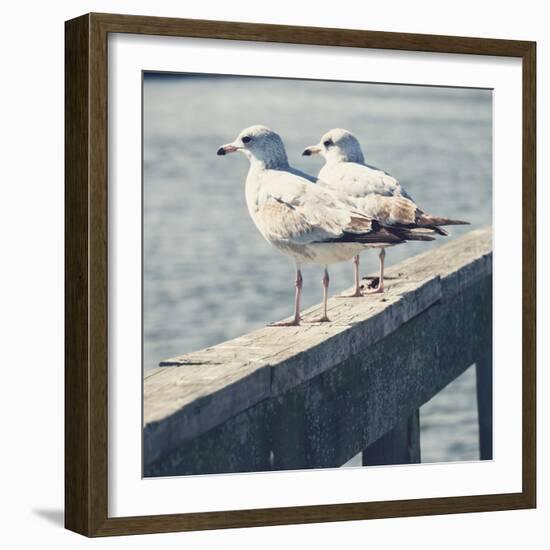 Look Out Dock II-Gail Peck-Framed Photo