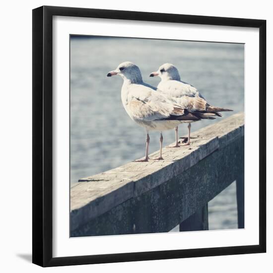 Look Out Dock II-Gail Peck-Framed Photo