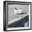 Look Out Dock II-Gail Peck-Framed Photo