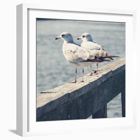 Look Out Dock II-Gail Peck-Framed Photo