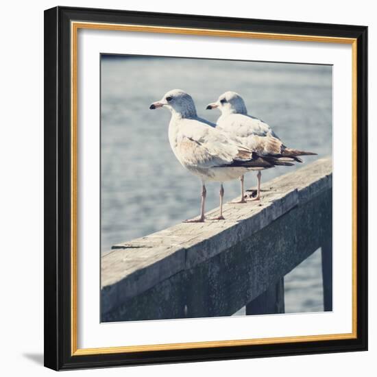 Look Out Dock II-Gail Peck-Framed Photo