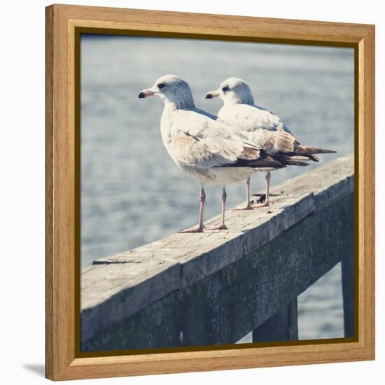 Look Out Dock II-Gail Peck-Framed Stretched Canvas