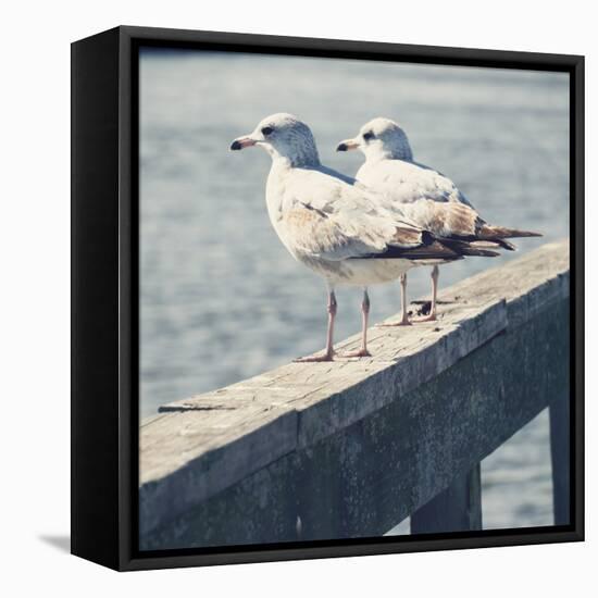 Look Out Dock II-Gail Peck-Framed Stretched Canvas
