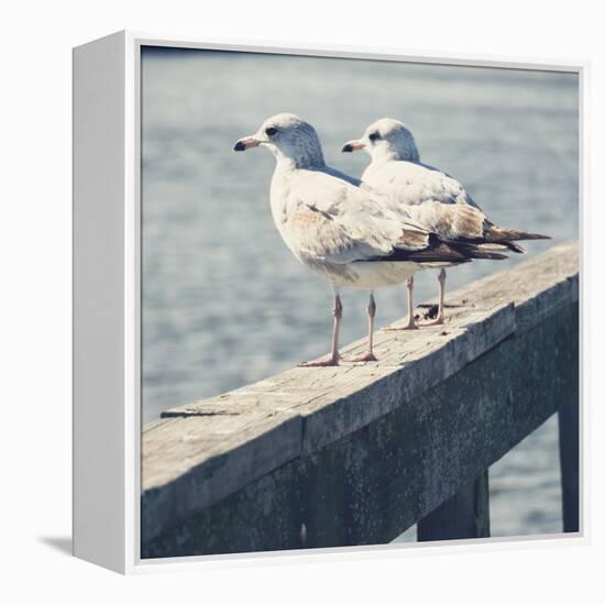 Look Out Dock II-Gail Peck-Framed Stretched Canvas