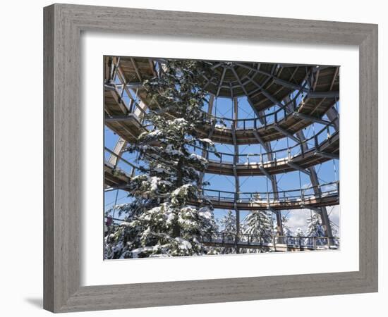 Look Out of Canopy Walkway of Visitor Center of National Park Bavarian Forest , Deep of Winter-Martin Zwick-Framed Photographic Print